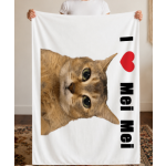 Flannel Blanket 280G sm single-side print