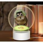 Meimei Acrylic Night Light
