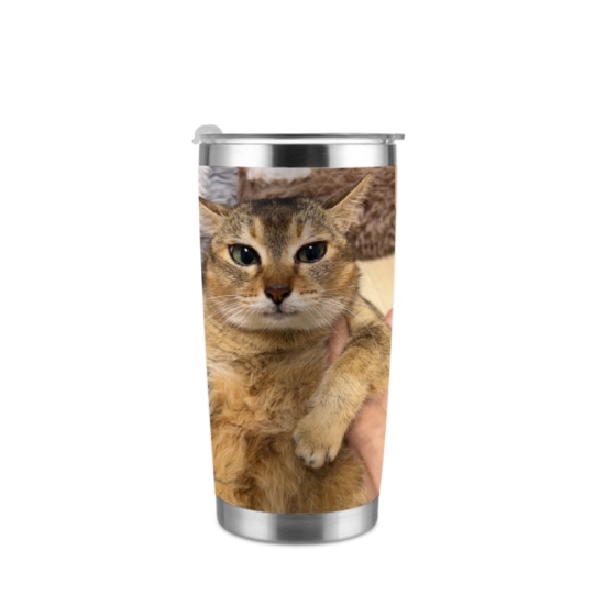 Meimei 20oz Car Cup